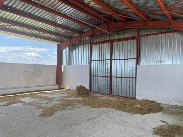 Ferma moderna  de vanzare – judetul Arges - 6