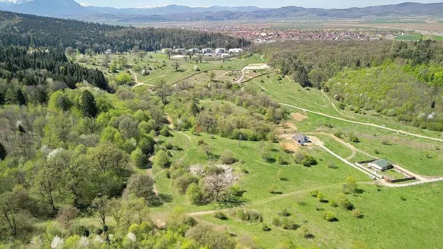 Teren Intravilan parcele 1000mp - 4