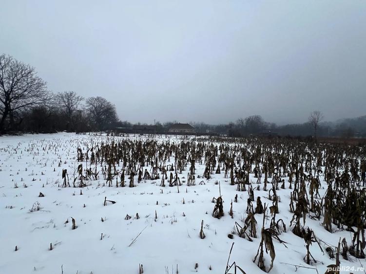 Vand casa+teren 4400m2 in Polovragi - 6