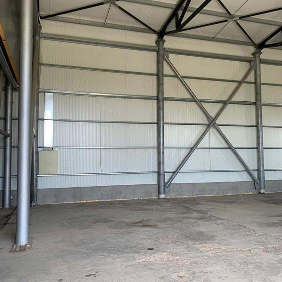 Hala de inchiriat - 4