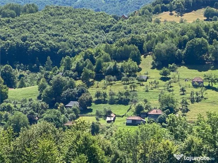 RECO Casa cu teren in Damis zona Valea Bratcutei - 8