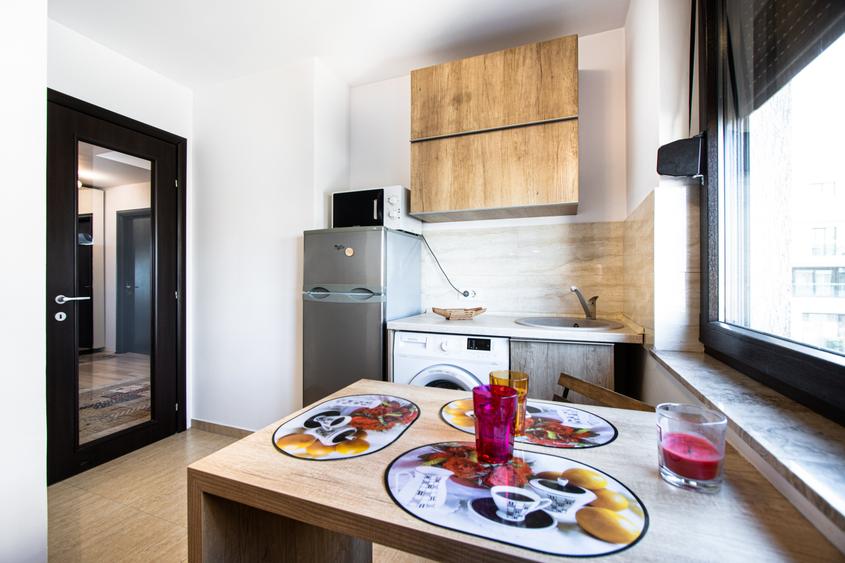 Studio North Lake Herastrau - 6