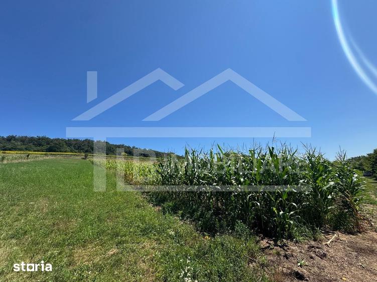 Teren, 1734mp, intravilan, zona Remetea - 3