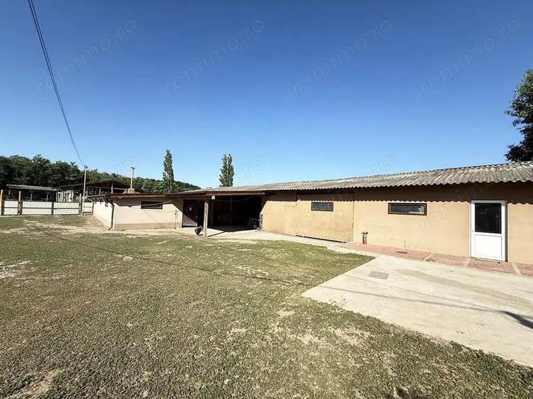 Catun Ferma autorizata Tip A pentru cresterea porcilor - IMOBIHOR - 3