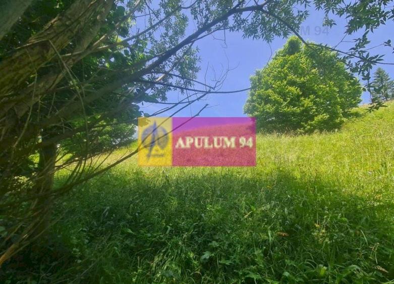 Teren de v&acirc;nzare &icirc;n Bușteni - Zona Zamora - 1