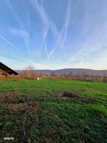 4.443 mp pozitionati direct la DJ678A, cu 39,57 m front stradal . - 9