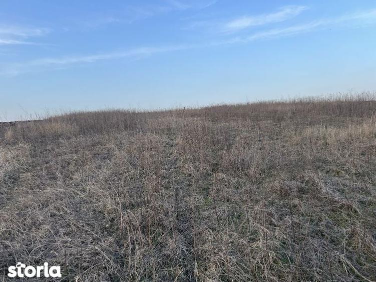 Teren de vanzare Peris intravilan - 4