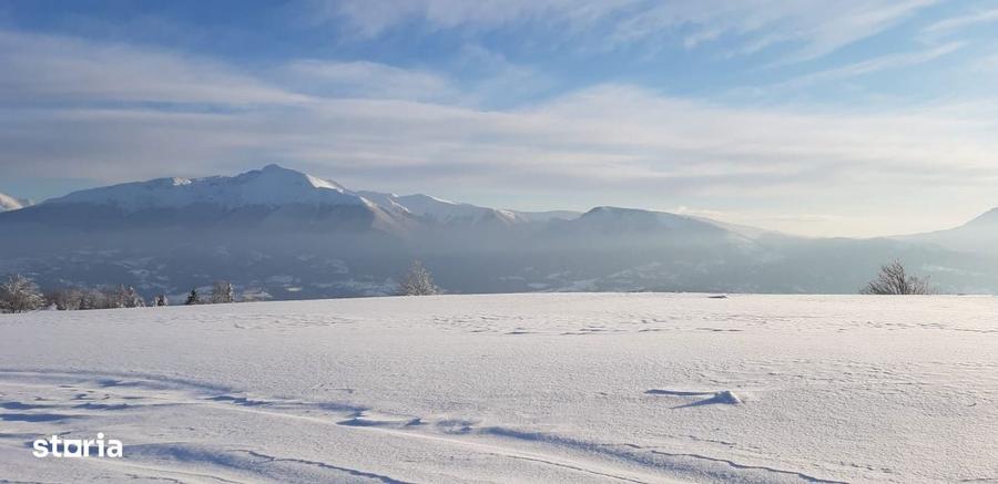 Vand teren 47.8 HA intravilan + extravilan Moisei/Viseu - 9