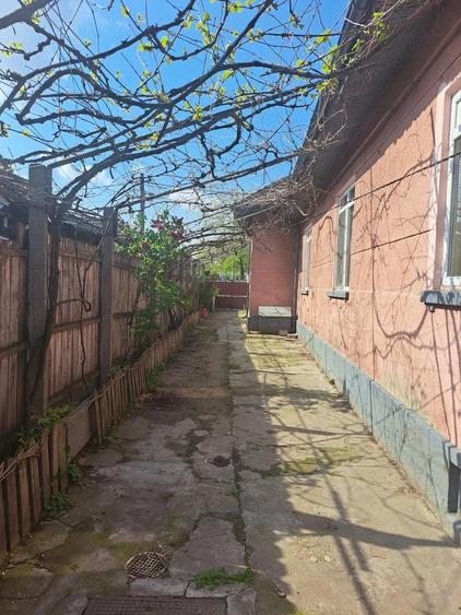 Casa str Cimpia Islaz - 9