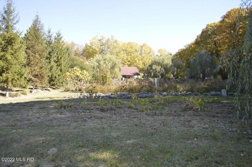 Topoloveni - Conacul Ion Mihalache, Domeniu pe 5 Hectare! - 52