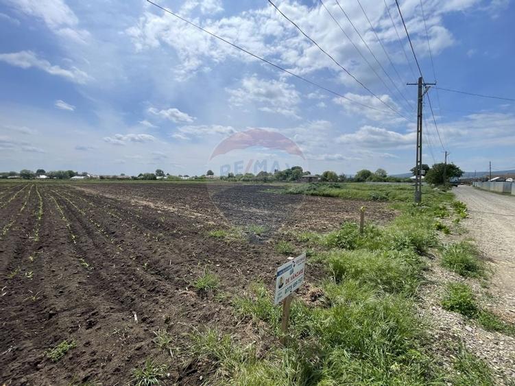 Teren Tifesti / Strada Secundara 47 - 5