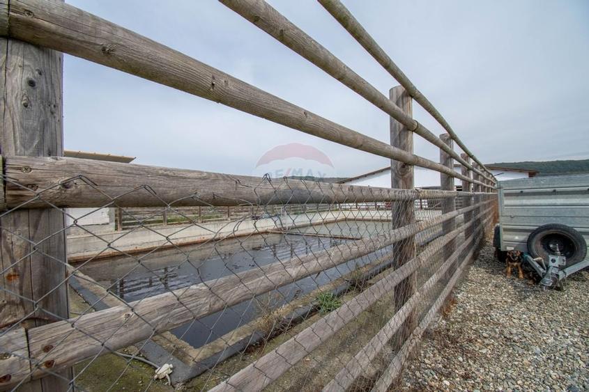 Ferma moderna de porci de vanzare in Curtuiusu Dejului - 12