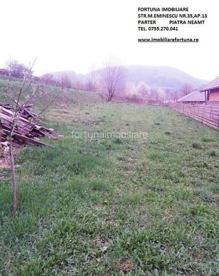 Teren Alexandru cel Bun Teren Alexandru cel Bun