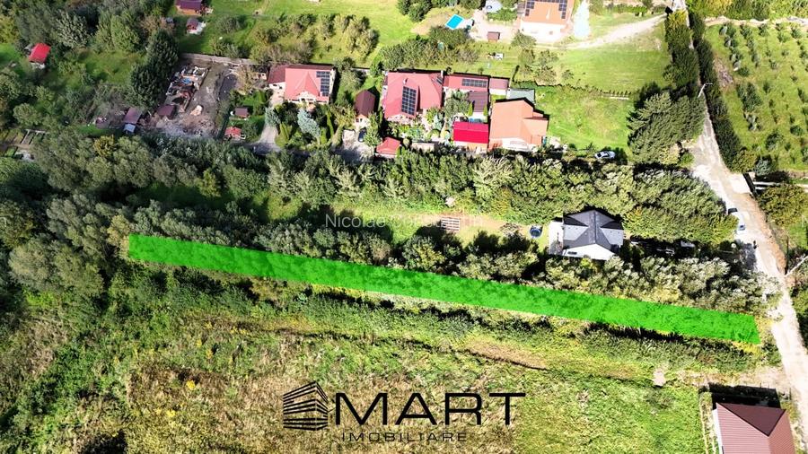 Teren intravilan 1700 mp Tocile de Sus