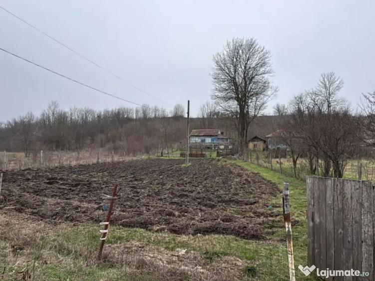 Teren 2.038 mp + Casa 50 mp de vanzare Sat Luncsoru, C - 18