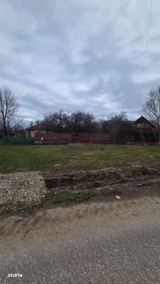 Teren intravilan Viile Satu Mare - 2