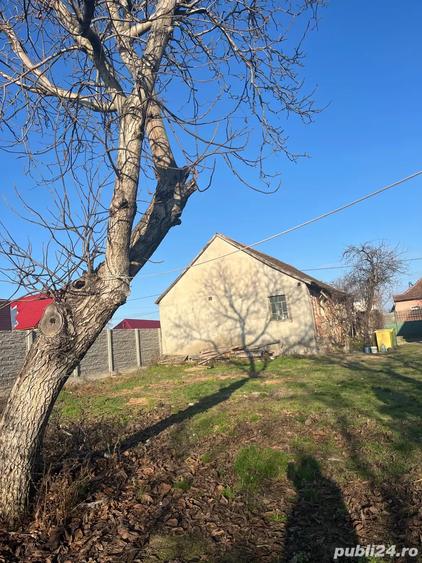 Casa cu teren generos Padureni - 5