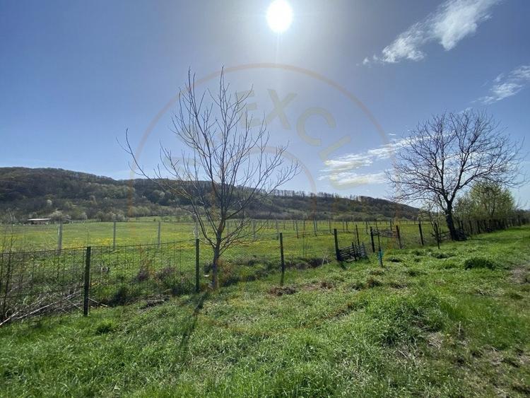 Teren intravilan cu grajduri si anexe – Aninoasa AG - 5