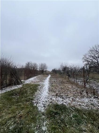 Casa individuala pe un singur nivel cu teren de 800 mp zona Turnisor - 3