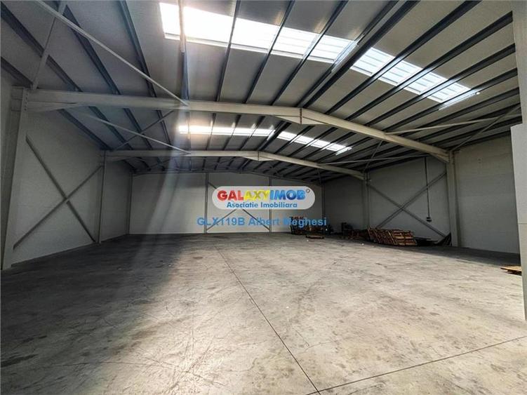 Inchiriere hala depozitare Parc Industrial TBM Rudeni - 5