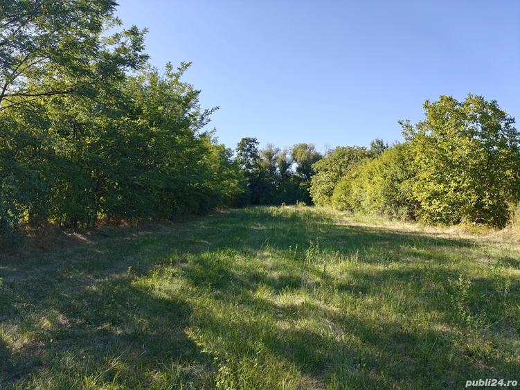 Casa in curs de renovare+ teren generos - 5