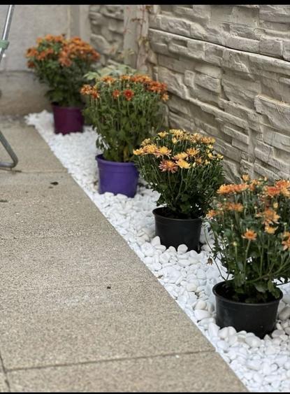 Inchiriez garsoniera 70 mp,,cu curte - 3