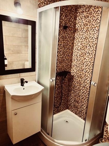 Garsoniera 22 mp utili, renovata, zona Buziasului - 6