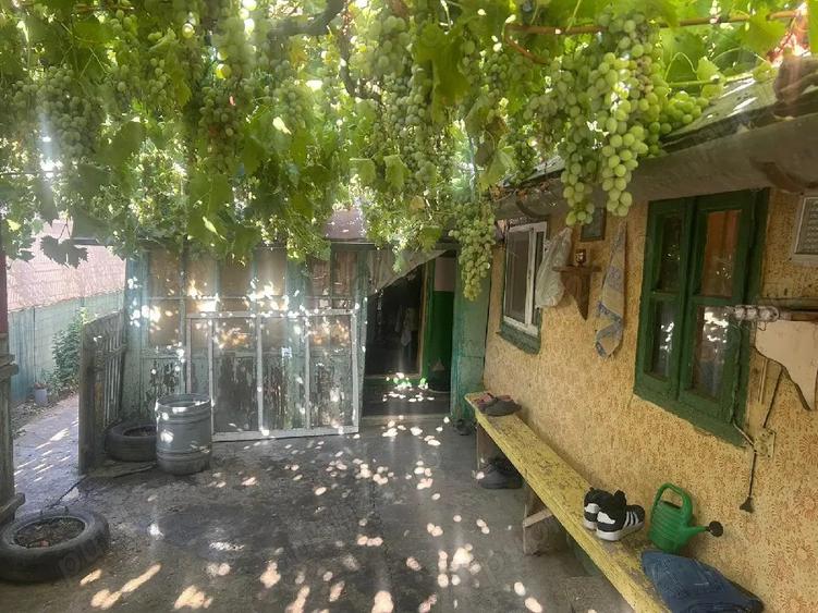 Casa de vinzare Loc.Tichilesti jud Braila - 5