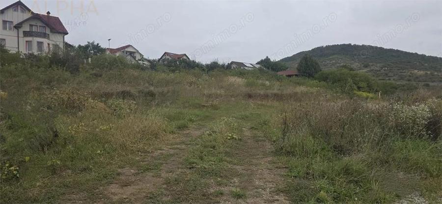 De vanzare teren intravilan Viisoara, Jud. Bistrita-Nasaud - 4