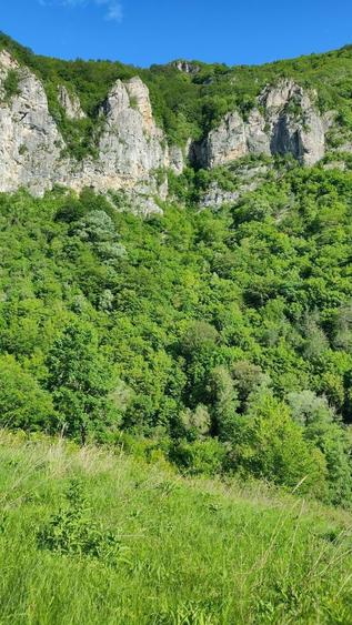 Teren Valea Cernei Baile Herculane - 4