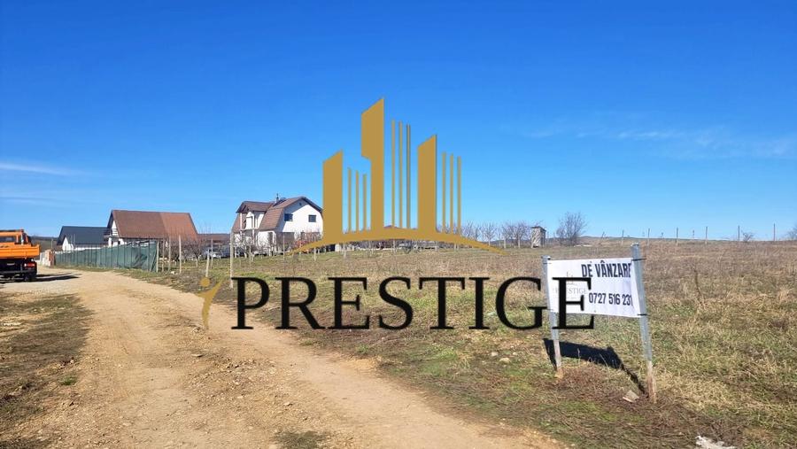 TEREN EXTRAVILAN 873 MP DE VÂNZARE ȘURA MICĂ | POTENȚIAL INTRAVILAN - 10