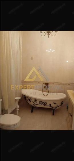 Casa boiereasca Centrul Vechi Baia Mare cu spatiu comercial la parter inchiriat cu 600 euro luna - 9