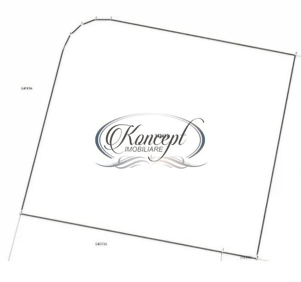 Teren in curs de autorizare in Faget - 7