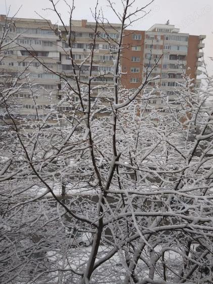 Vand apartament 3 Camere Decomandate, Baie cu geam, 64m2 , Mazepa - 9