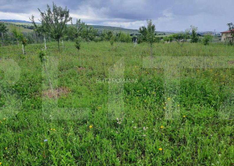 Exclusivitate ! Teren intravilan 2066mp , zona Sopor Exclusivitate ! Teren intravilan 2066mp , zona Sopor