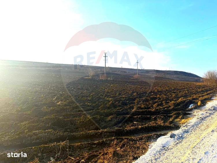 Teren 4.956mp Letea Veche / Calea BARLADULUI - 4
