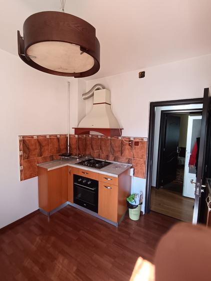 Vila pe strada Vasile Lupu - Ultracentral - 7