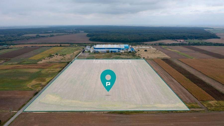 Teren extravilan 5 hectare ( zonă industrială ) Șag