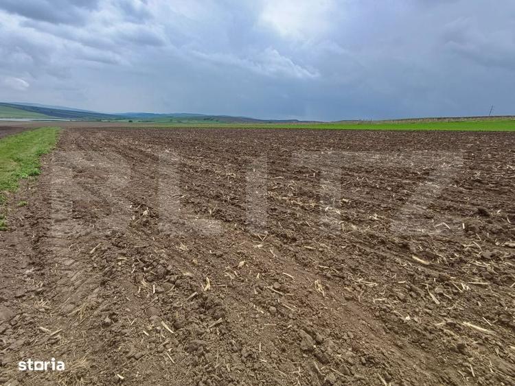 Teren de vanzare extravilan, 50 ari, Cumparatura - 3