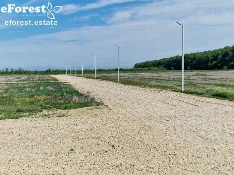 Teren rezidential la padure Crevedia - 6