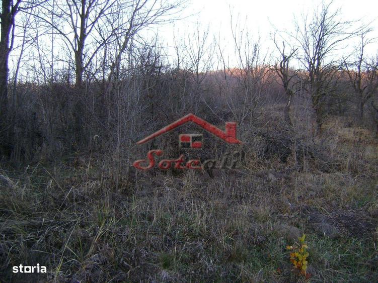 Teren de vanzare Cornu de Jos - 4