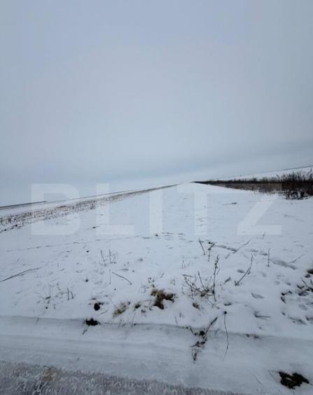 Teren de vanzare, 9000 mp, cartier Izvor - Tarlungeni - 105. - 1