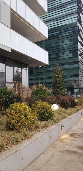 Proprietar - inchiriere Studio Cortina North- fara comisioane - 5