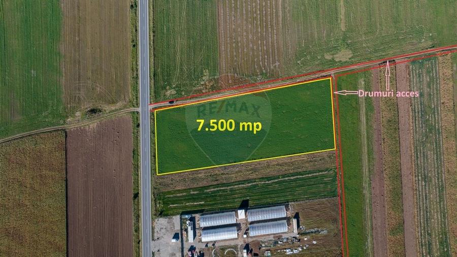 Teren comercial / industrial | 7,500mp Strada Zizinului | Tarlungeni - 5
