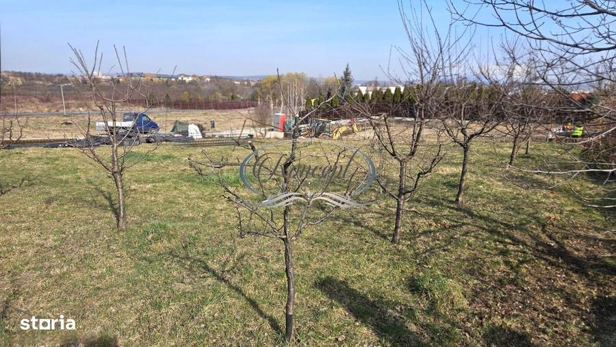 Teren duplex, cu PUZ aprobat in Buna Ziua - 3