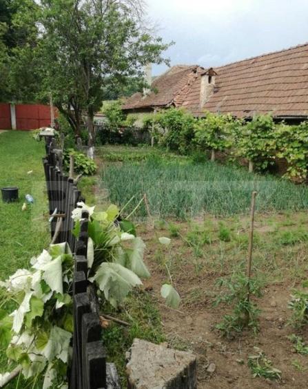 Casa off-grid 5 camere Sangatin - 8