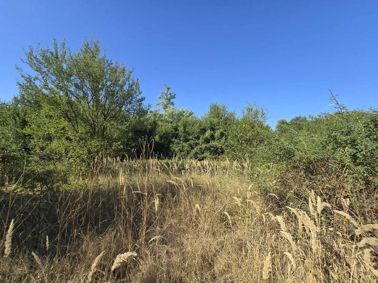 Teren vanzare Ciolpani / Luparie 10.000 PROMOTIE DE SARBATORI - 8