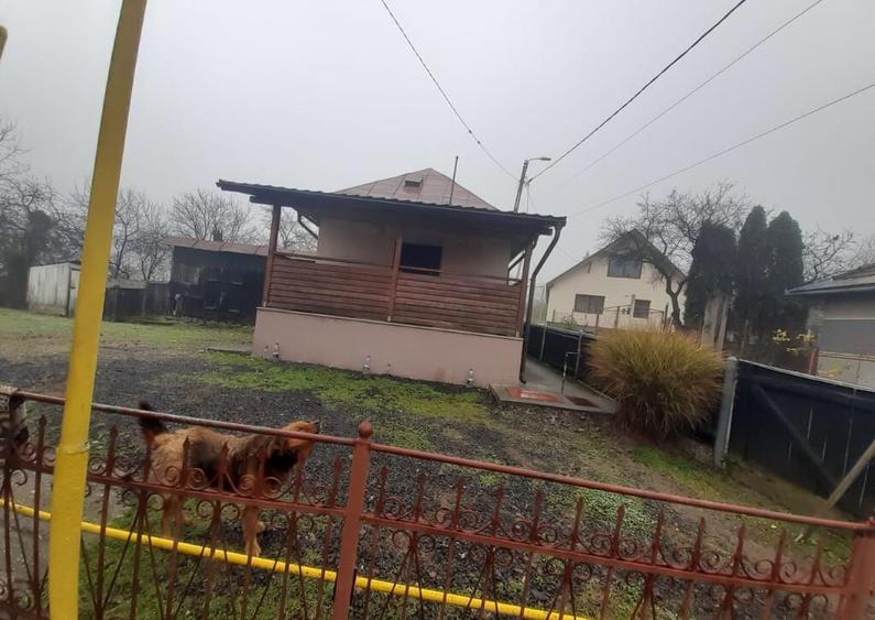 Baia Sprie, casa caramida, 9,4 ari teren - 6