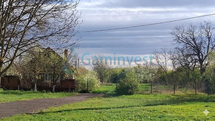 Teren intravilan de vanzare in Niuved, loc Tamaseu, Bihor - 1