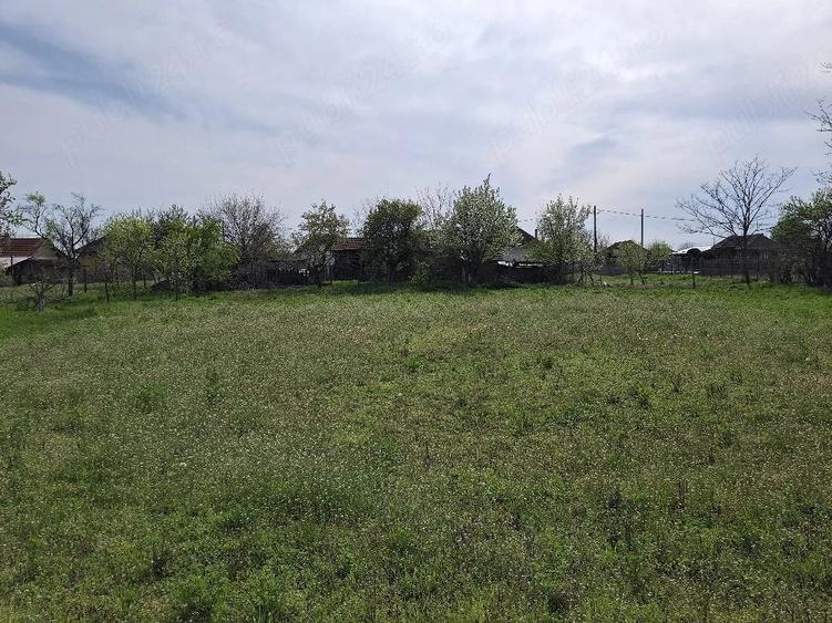 Casă cu 3 camere cu Teren 1500 Mp în Dâmbovița